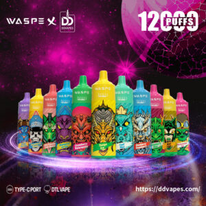 ddvape_WASPE-_12000_Puff
