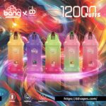 ddvapes-Bang-King-12000-Puffs